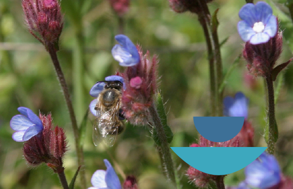 © ANA-MPA, Vasiliki Paschali